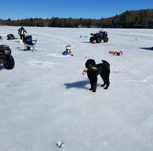 Meet your Posher, Sue
